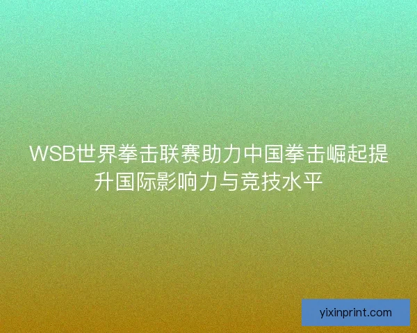 WSB世界拳击联赛助力中国拳击崛起提升国际影响力与竞技水平